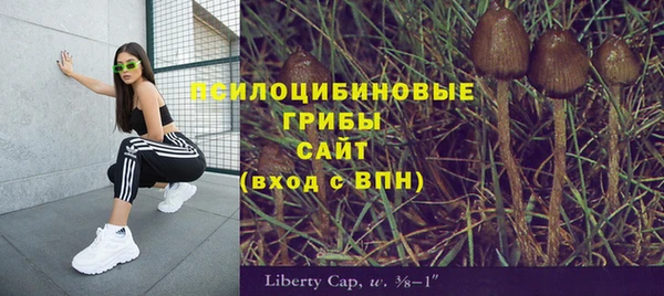 первитин Новодвинск