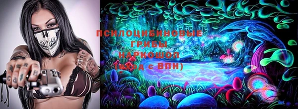 первитин Новодвинск