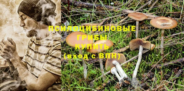 первитин Новодвинск