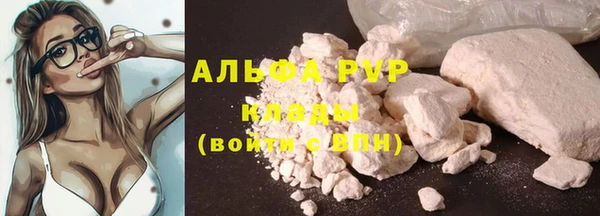 твердый Гвардейск